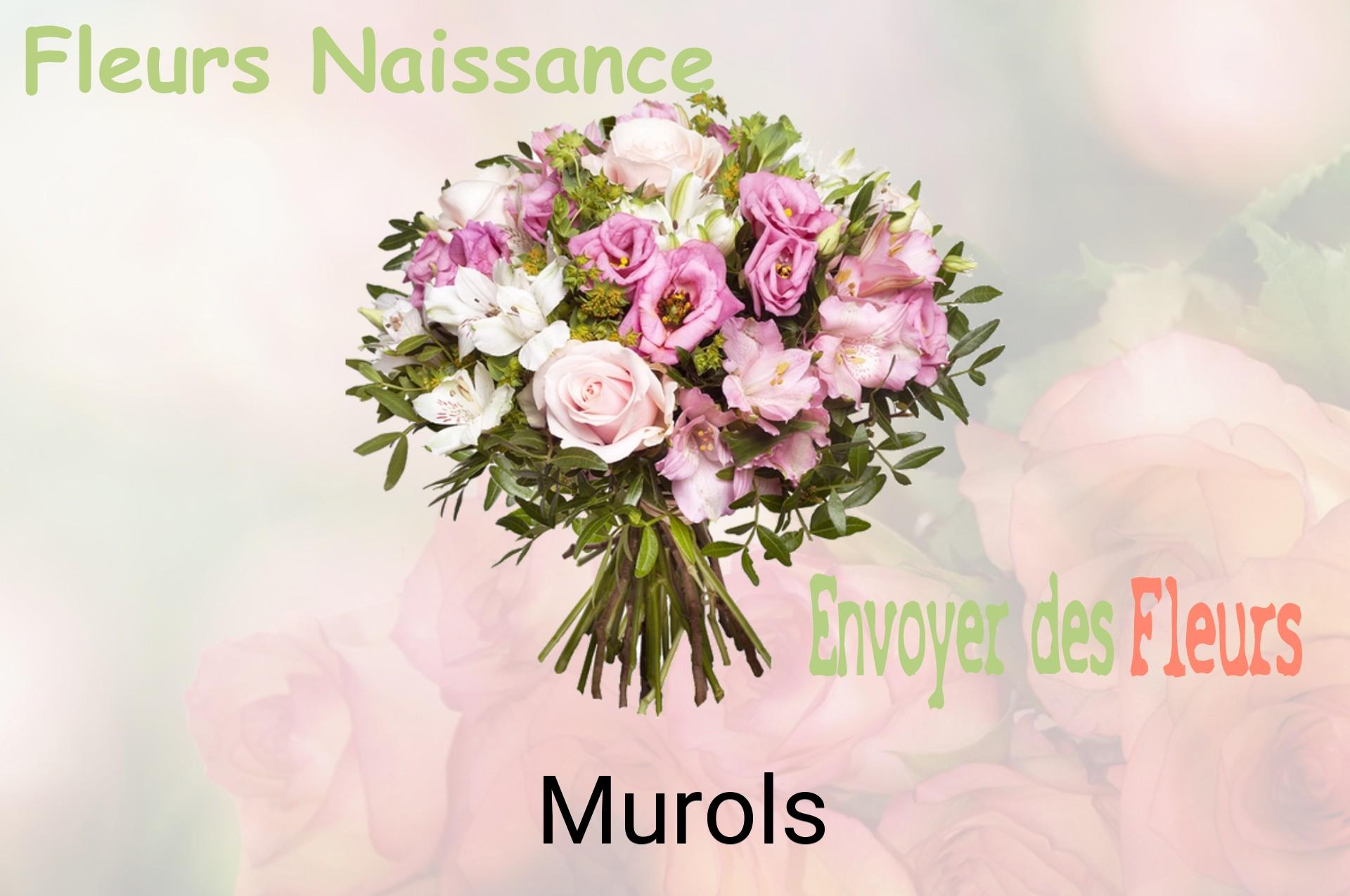Bouquet de fleurs de naissance livré à Murols